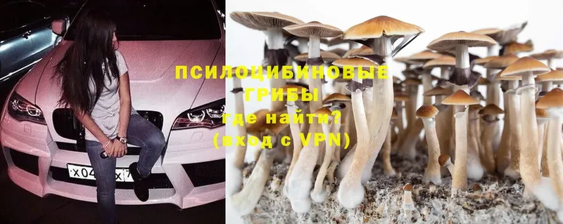 Псилоцибиновые грибы Psilocybine cubensis  ОМГ ОМГ как войти  Дудинка  наркотики 